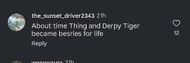 A fan comment on the post